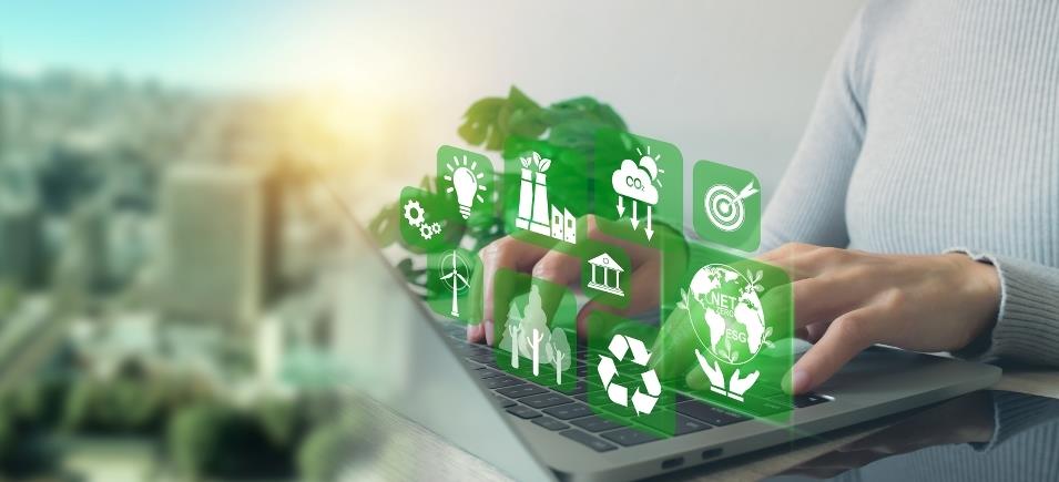 Sostenibilità: un percorso strategico per le aziende