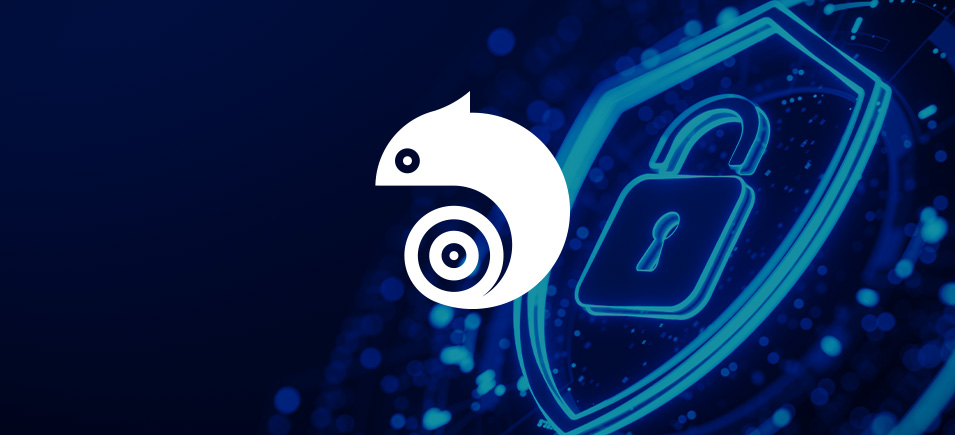 Gestione Privacy