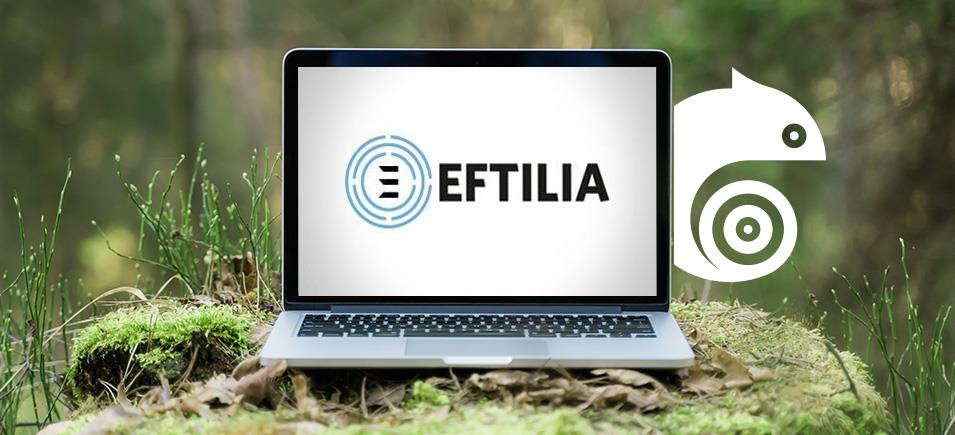 DGP Servizi fondatore di Eftilia: un nuovo capitolo per la sostenibilità aziendaleg